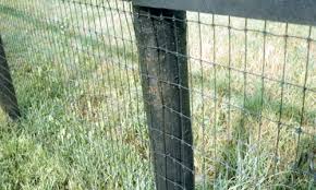 Image result for non climb fence