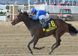 Wild Vine wraps up Native Dancer, eyes bigger game