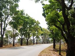 Image result for PICTURES OF UNILORIN