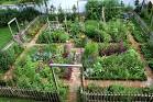 Bilder av kitchen garden