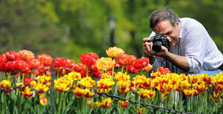 Resultado de imagem para ny fall spring