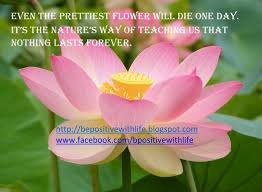 Quotes About Life And Flowers. QuotesGram via Relatably.com
