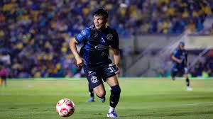 Instante Gallos - News update