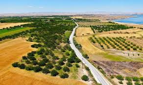Malatya Haber, Malatya Haberi, Malatya Son Dakika Haberleri - News update