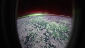 From yoga to digital art, Earth Day events in Miami-Dade await you!
