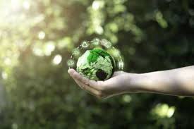 Selo Verde transforma boas práticas em reconhecimento global