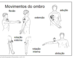 Movimentos do ombro anatomia