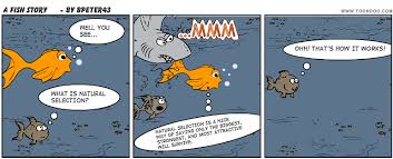 Image result for Natural funny image