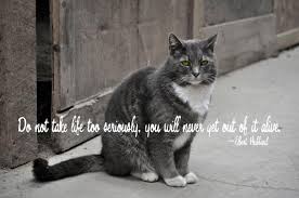 Kitty Quotes. QuotesGram via Relatably.com