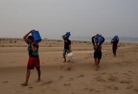 Trend Google: el niño
