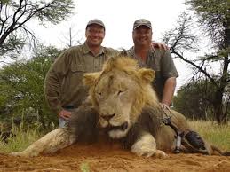 Image result for cecil the lion king