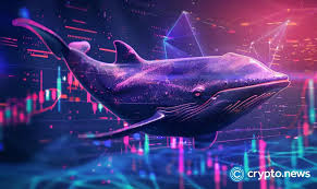 Reasons why crypto whales are on XRP, Solana, and Rollblock buying spree