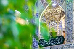 چرا ربیع‌الاول، بهار ماه‌ها نامگذاری شده است؟/در عید ربیع چه باید کرد؟