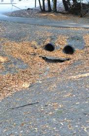 Résultat de recherche d'images pour "pareidolia"