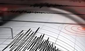 ভূমিকম্পে কেঁপে উঠল দেশ