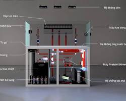 Hệ thống lọc tràn cho hồ cá biển