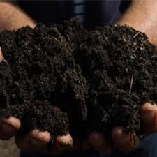 Image result for free compost