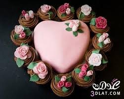 ������ �� ��� �������  , ������ ����  , ���� ������ images?q=tbn:ANd9GcQ