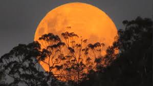 News source: Australian Broadcasting Corporation