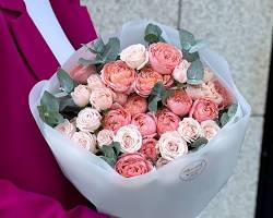 Изображение: Цветы