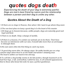 Quotes About Losing A Dog. QuotesGram via Relatably.com
