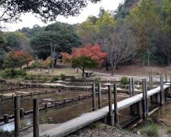 水分峡キャンプ場の画像