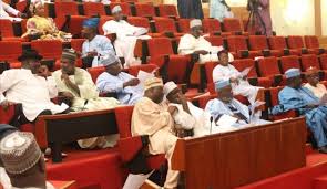 Image result for nigerian senate committees