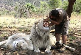 Image result for ‫عکس های جالب از طبیعت‬‎