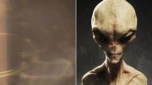 Mutual UFO Network - News, views, pictures, video - The Mirror