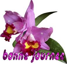 Résultat de recherche d'images pour "image de bonne journée gratuit"