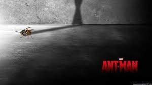 Résultat de recherche d'images pour "ANT MAN"