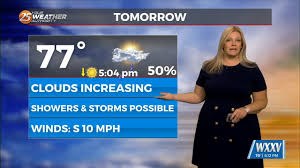 Foggy Weather Warning