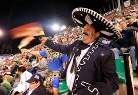 Résultat de recherche d'images pour "selfie sombrero"