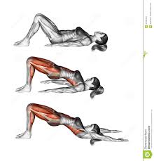 Image result for setu bandhasana