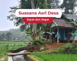 lingkungan hijau aceh masyarakat desa lestari sejuk, buatan AI