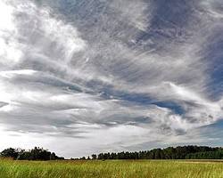 Cirrus clouds