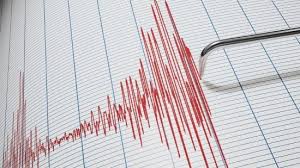 Sismo de magnitud 4.4 sacude las costas de Mapastepec, Chiapas.