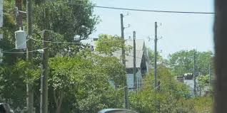Charleston Tree Removal: Dominion Energy and City Partnership