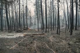 What to know about the wildfires burning across the state