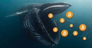 A whale aware of the October dump decided to buy Ethereum and Bitcoin.