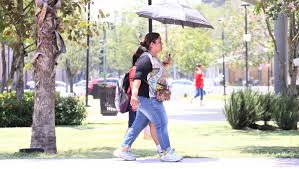 Milenio - News update