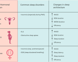 Hormone regulation during sleep