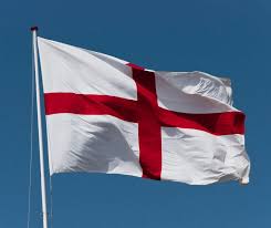 Dorset Council - News update