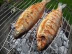 Fische zum grillen