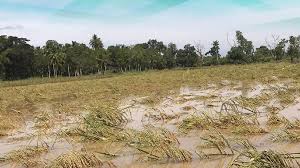 Bombo Radyo Vigan - News update