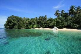 Image result for TAMAN NASIONAL TELUK CENDRAWASIH