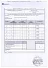 I moduli Sunerg ricevono la certificazione italiana di reazione al