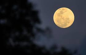 ¡Imperdible! Eclipse Lunar Total y Luna de Maíz Iluminarán el Cielo Venezolano