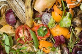 Image result for compost heap