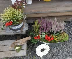 Bildresultat för höstblommor